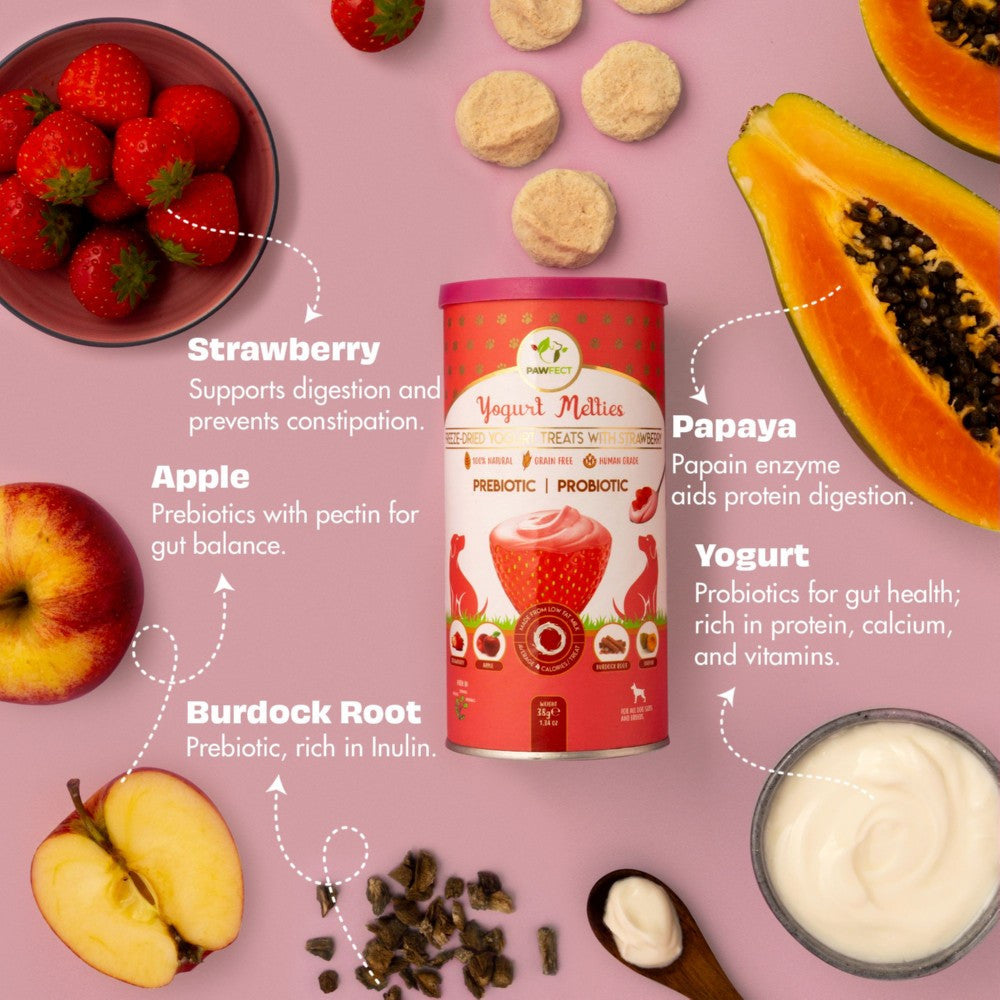 Pawfect Nature's Meltie's Freeze Dried yoghurt with Strawberry 38g