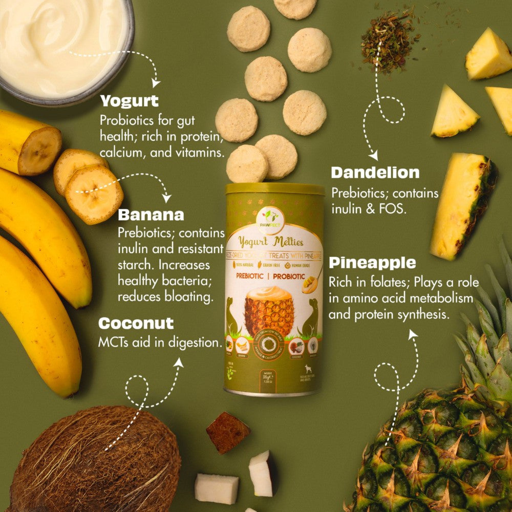 Pawfect Nature's Meltie's Freeze Dried yoghurt with Pineapple 38g