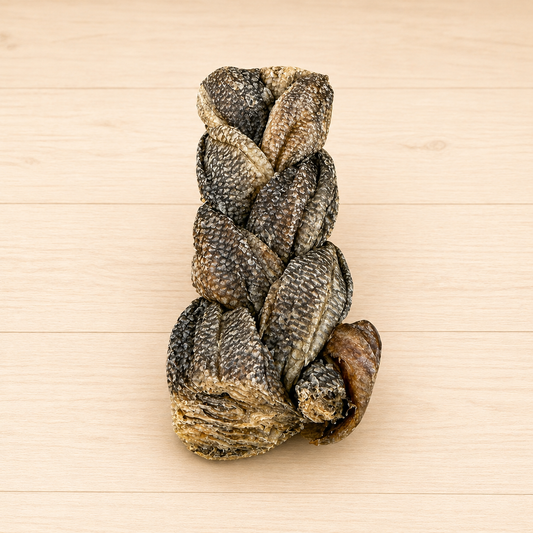 Fish Skin Braid