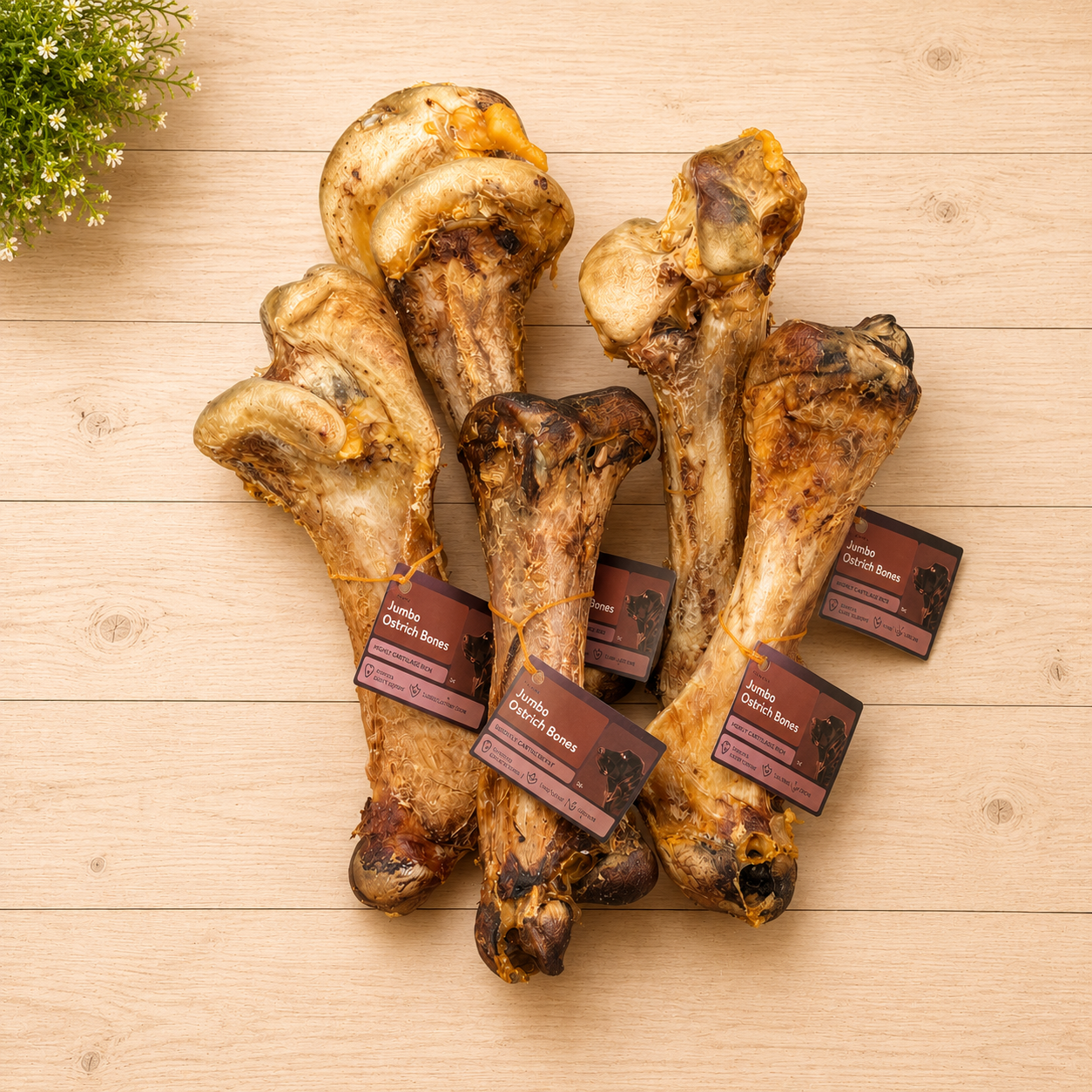 Jumbo Ostrich Bones